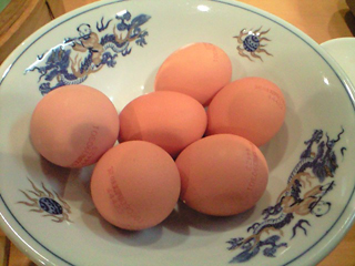 卵1