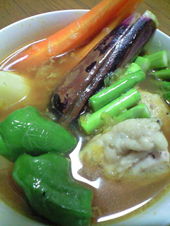 チキン野菜スープカレー