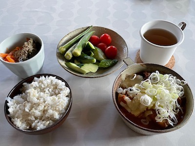 ラタトゥイユスパイスカレー1