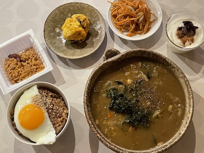サムゲタンカレー1