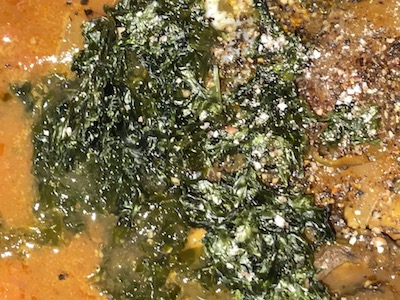 スープカレー5