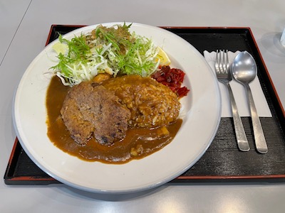 ハンバーグカレー1