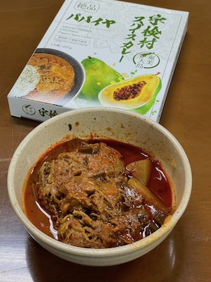 パパイヤカレー1