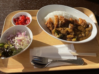 カツカレー1