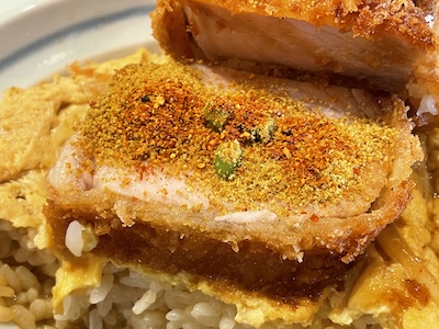 ロースかつ丼10