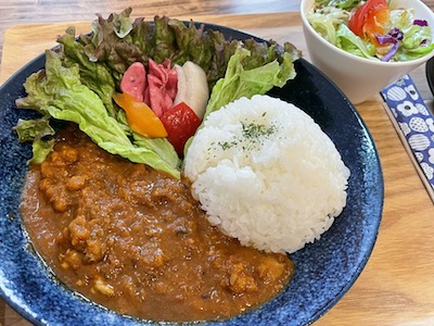 スパイスカレー1