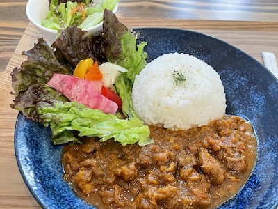 スパイスカレー1