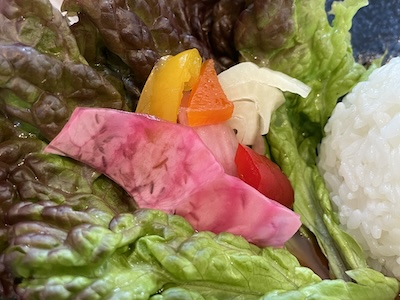 スパイスカレー4