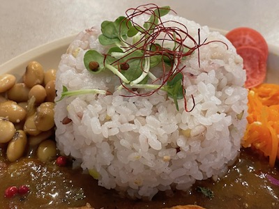 スパイスカレー5