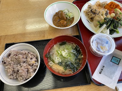 チキンカレー1