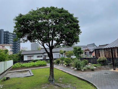 大江医家史料館4