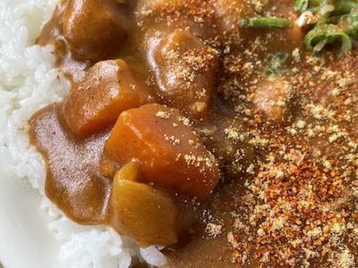 チキンカレー5