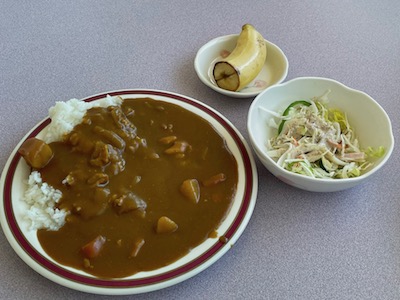 チキンカレー1