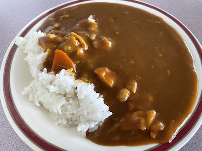 チキンカレー2