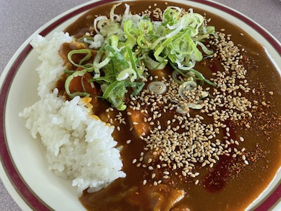 チキンカレー4