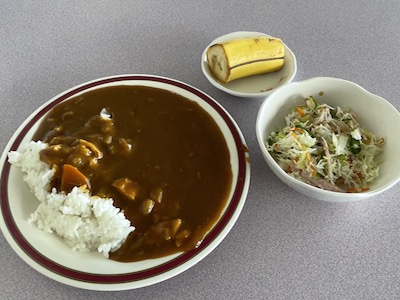 チキンカレー1