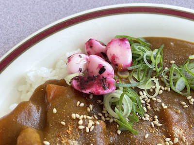 ポークカレー6