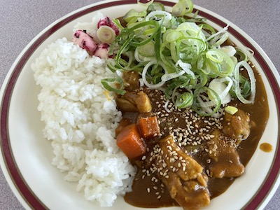チキンカレー5
