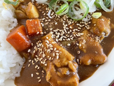 チキンカレー6