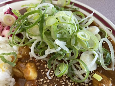 チキンカレー7