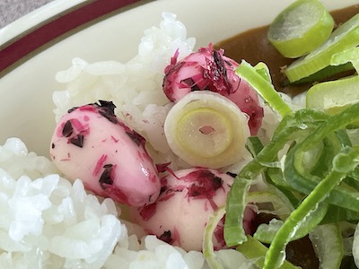 チキンカレー8
