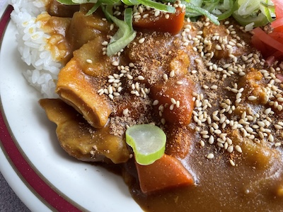チキンカレー4