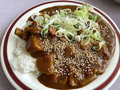 チキンカレー6