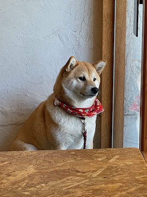 豆花