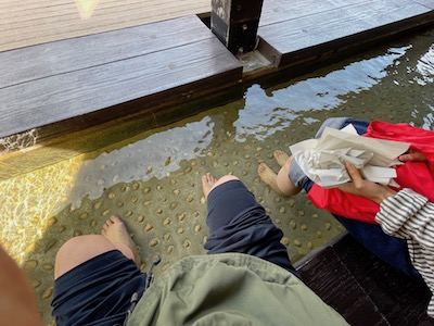 足湯
